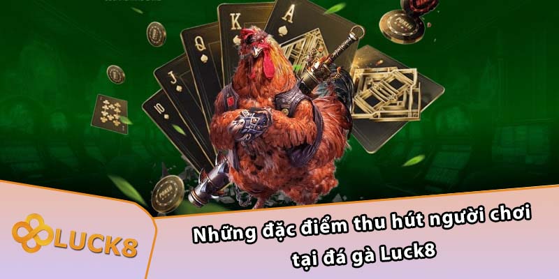 Những đặc điểm thu hút người chơi tại đá gà Luck8